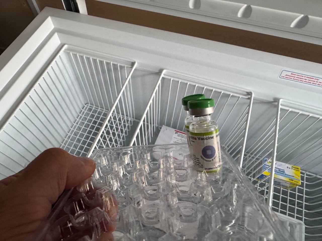 567684445 2032383207572811 4794424950897259455 n