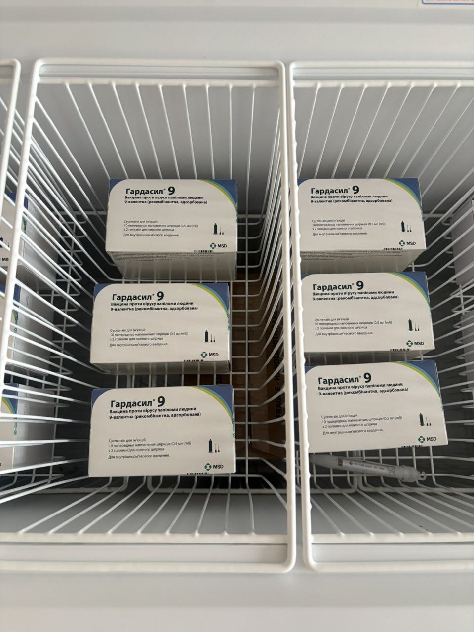 614631036 2098130274331437 9194535043381120244 n